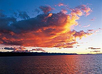 《背包乱斗》开发者感谢中国玩家！